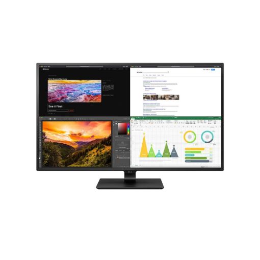 Picture of LG 4K UHD Monitor 42.5" IPS 43UN700-B