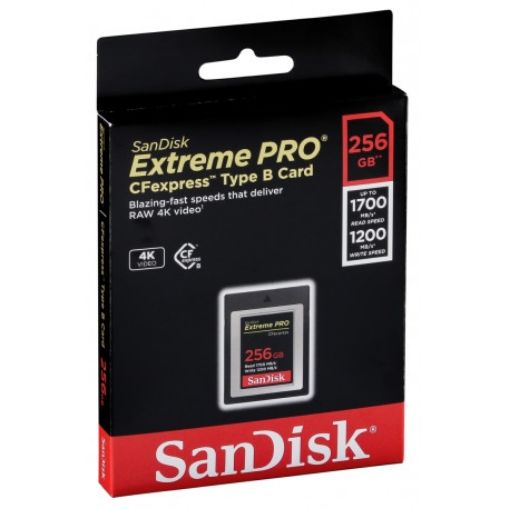 Изображение Sandisk CompactFlash Memory Card 256GB SDCFE-256G-GN4NN