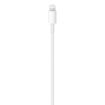 Picture of Apple Type-C to Lightning Cable iPhone Original 1m