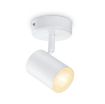 Picture of Wiz smart Spot is a smart lighting fixture with an adjustable spotlight head, featuring 1x5W power and a color temperature range of 2700K to 6500K.