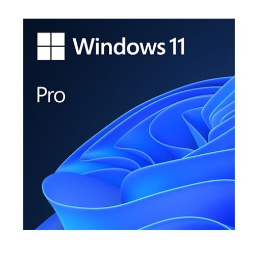 Picture of Microsoft Windows 11 Pro 64 Bit Hebrew FQC-10536