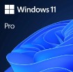Picture of Microsoft Windows 11 Pro in English - Digital license FQC-10428.