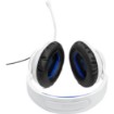 Изображение JBL наушники с микрофоном Quantum 100P.