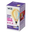 תמונה של WiZ 8718699786854 תאורה חכמה נורה חכמה Wi-Fi זהב 6.5 W