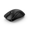 Picture of Wireless mouse Genius Ergo 8100S.