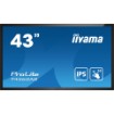 תמונה של מסך IIYAMA 43" ProLite IPS 20pt Touch 4K PCAP Interactive Display T4362AS-B1