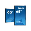תמונה של מסך IIYAMA 65" ProLite IPS 20pt Touch 4K PCAP Interactive Display T6562AS-B1