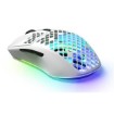 Picture of Wireless gaming mouse SteelSeries Aerox 3 5707119043298.