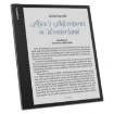 Изображение Электронная книга PocketBook 10.3" InkPad Eo с цветным экраном PB1042-M-WW.