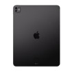 Изображение Apple iPad Pro 13" 256GB M4 2024 в цвете Space Grey MVX23K.