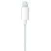 Изображение Оригинальные наушники Apple In-ear с разъемом Lightning