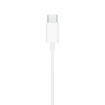 Изображение Наушники с проводом Apple EarPods с подключением USB-C.