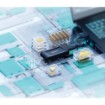 תמונה של כונן חיצוני  SSD Kingston XS1000 2TB צבע שחור