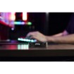 תמונה של כונן SSD Kingston FURY Renegade G5 1TB
