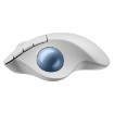 Изображение Беспроводная мышь Logitech ERGO M575S Trackball белого цвета.