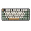 Изображение Беспроводная механическая клавиатура ASUS Jelly75 KD201 коричневого, белого, зелёного цвета.