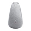 תמונה של רמקול שעון JBL Horizon 3 בצבע אפור