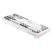 Изображение Механическая игровая клавиатура 1StPlayer NEO87 Frostwave.